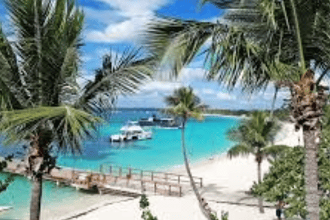 Private Catalina Island Snorkeling & Beach Day Trip