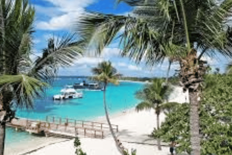 Private Catalina Island Snorkeling & Beach Day Trip