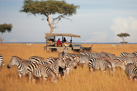 Prywatne 3-dniowe safari w Parku Narodowym Samburu All Inclusive