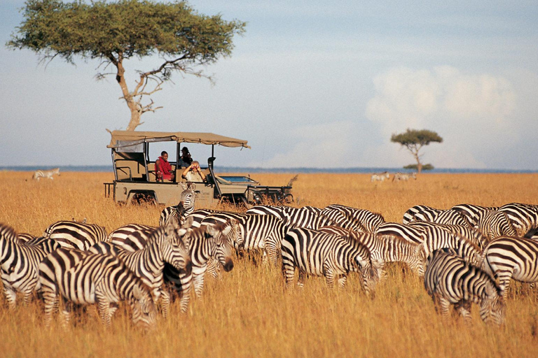 Private 3 Days Samburu National Park Safari All Inclusive