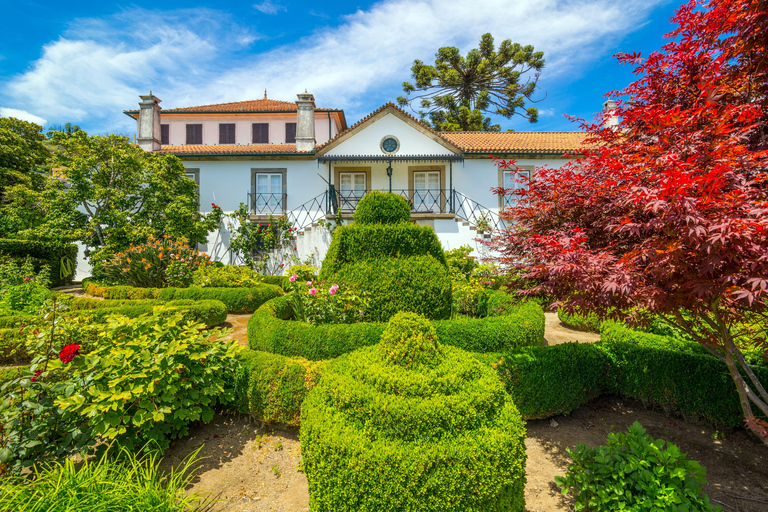 Douro Valley: A Sensory Experience in the Douro: Wines, Olive Oil, and History Douro Valley: Sensory Experience in the Douro: Wines, Olive Oil, and History