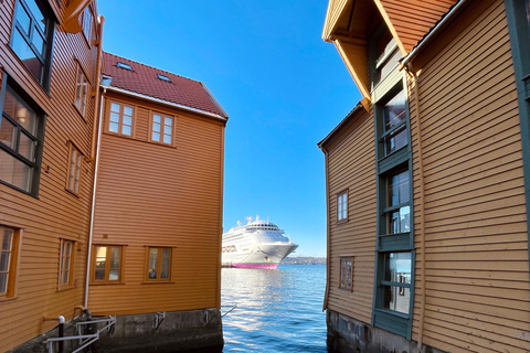 Bergen: Private Shore Excursion, Best of Bergen