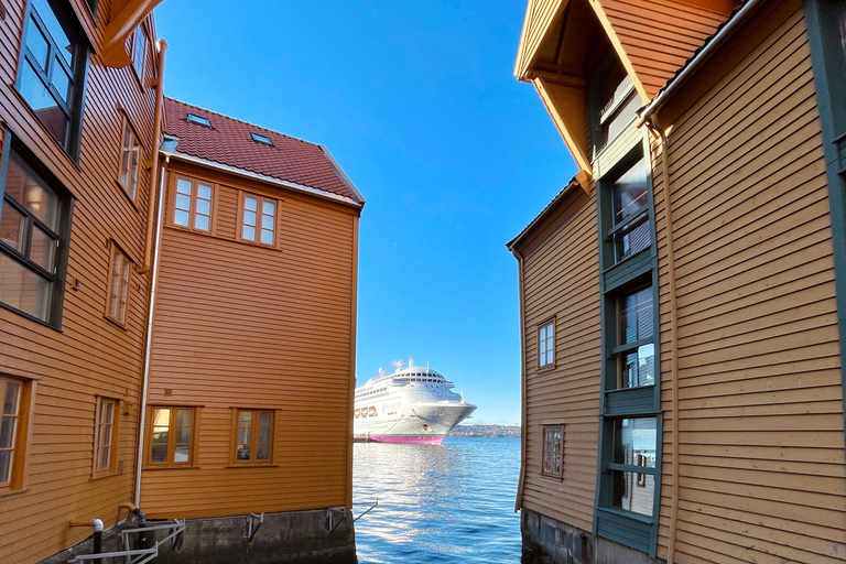 Bergen: Private Shore Excursion, Best of Bergen