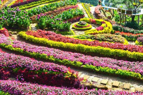 Cebu: Balamban Adventure Tour (Private Tour)