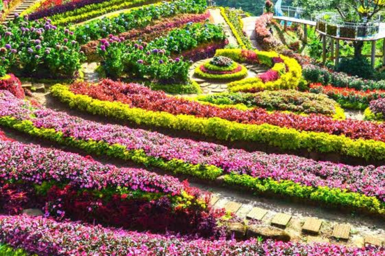 Cebu: Balamban Adventure Tour (Private Tour)