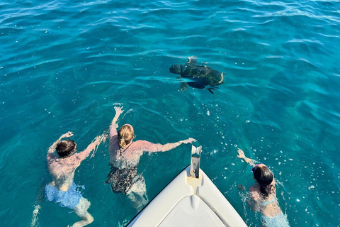 Zakynthos: Small Group Turtle Tour with Swim Stops