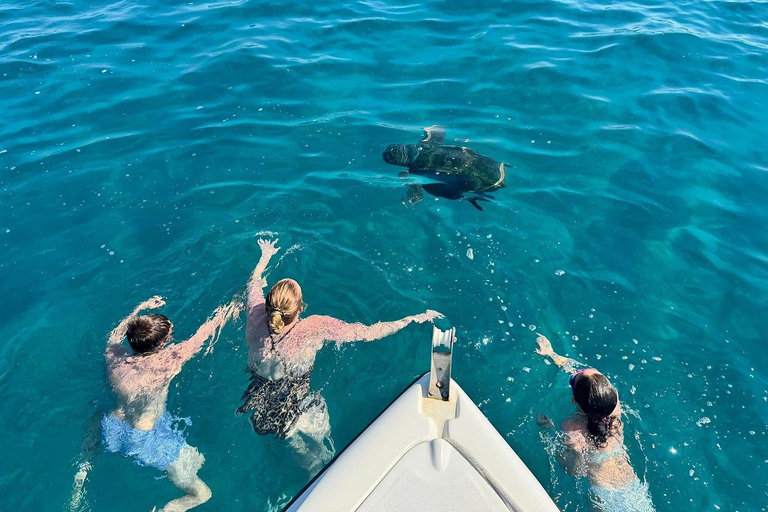 Zakynthos: Small Group Turtle Tour with Swim Stops