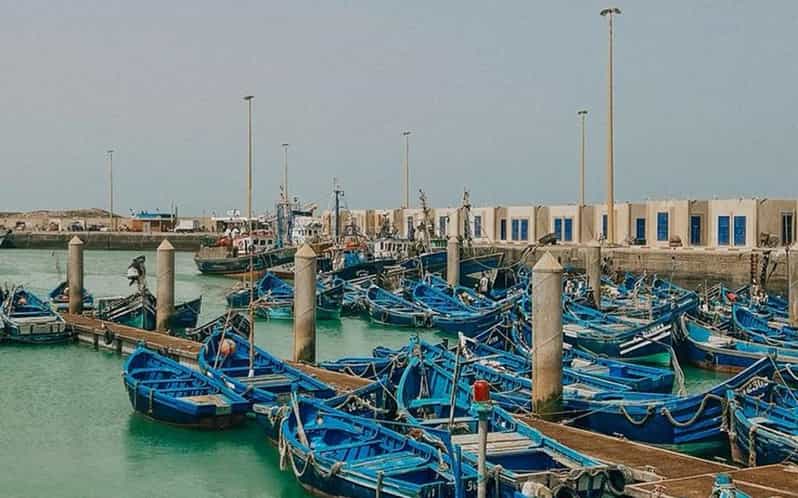 Marrakech : excursion d'une journée à Essaouira, ville magnifique et historique - medina