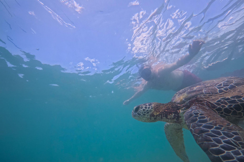 Mirissa: Sea Turtle Snorkeling Tour, GoPro & 100% Guarantee