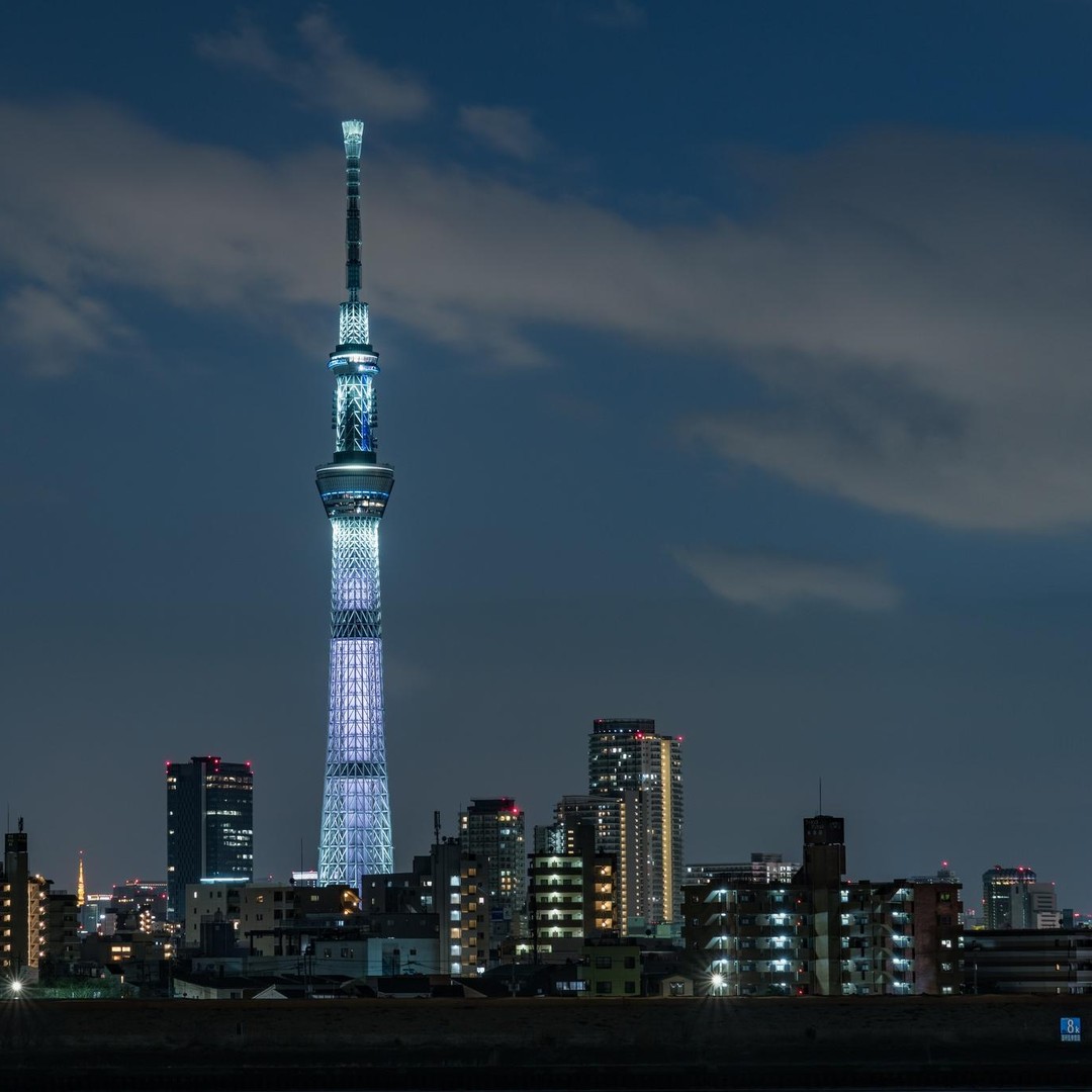 メディア コラージュ
