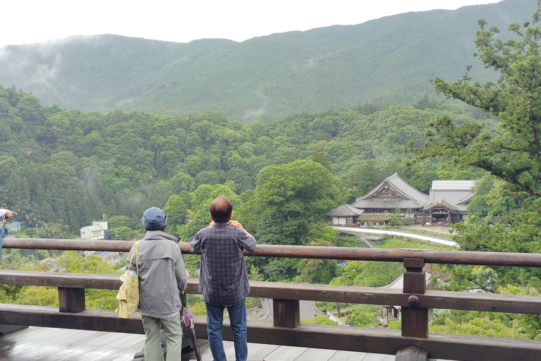 Nara: Entdecke die riesige Kannon-Statue und den Tempel am Steilhang von HasederaNara: Entdecke die riesige Kannon-Statue und den Tempel am Steilhang in Hasedera