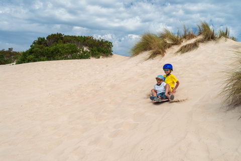 From Agadir/Tamraght/Taghazout: Sandoarding in Sand Dunes