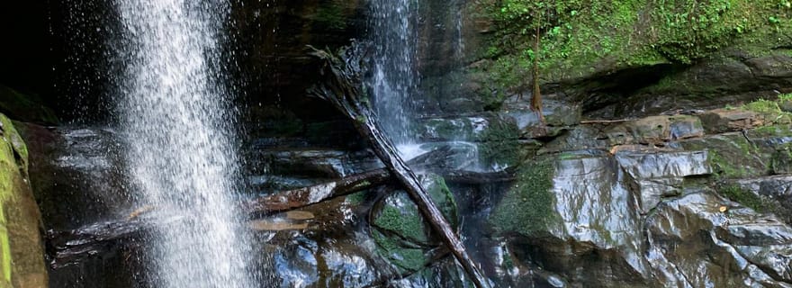 Puerto Viejo&Cahuita : Circuit des 3 cascades, Talamanca, Limón