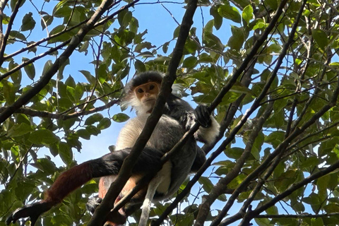 From Hue: Bach Ma National Park Hiking Day Trip with Pickup From Hoi An