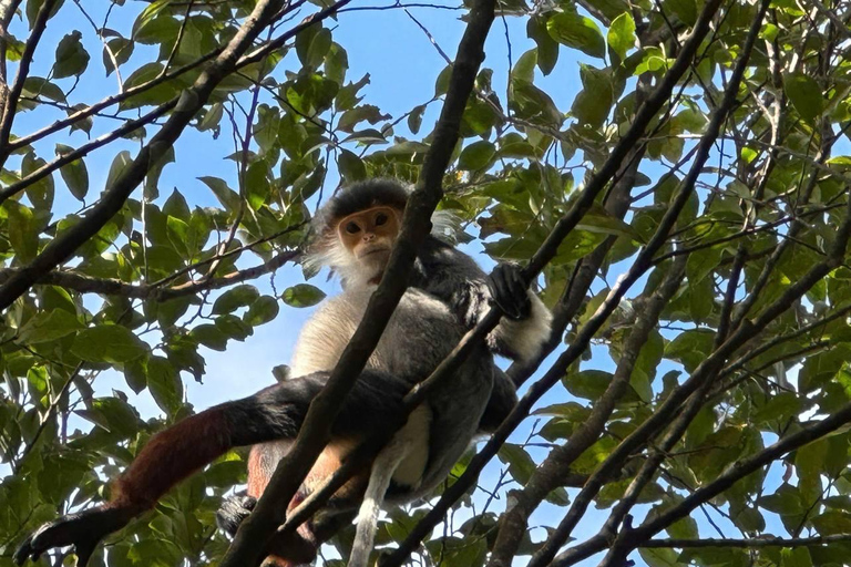 From Hue: Bach Ma National Park Hiking Day Trip with Pickup From Hoi An