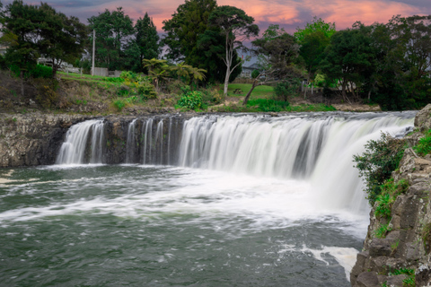 Bay of Islands: Private Wheelchair-Accessible Custom Tour