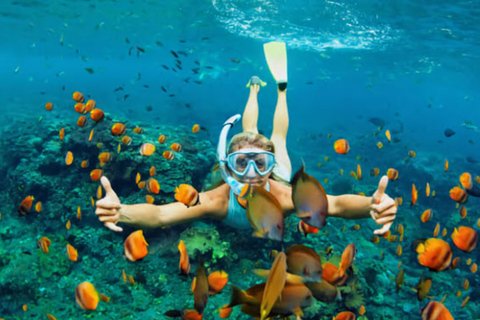 Yogyakarta Sadranan Beach Canoeing and Snorkeling Adventure