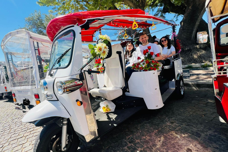 Lisbon: 7 Hills Electric Tuk-Tuk Tour with Certified Guide 30m Express: Chiado Highlights & Panoramic Viewpoints-Shared