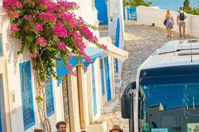 Tunis: Group guided visit, Carthage, Sidi Bou Said + Pickup from the HARBOR/HAM Pick-up from Hammamet/Nabeul/Yassmine Hammamet