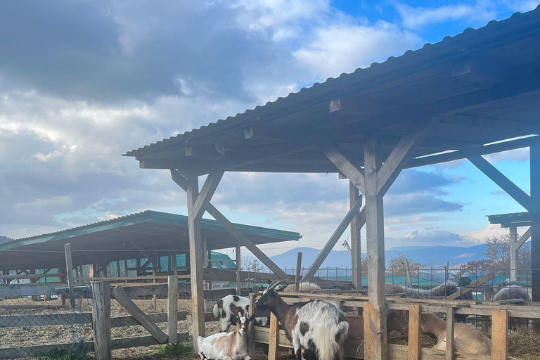 From Sarajevo: Visoko Pyramids, Plantations & Horse Riding Half-Day Farm Visit Only