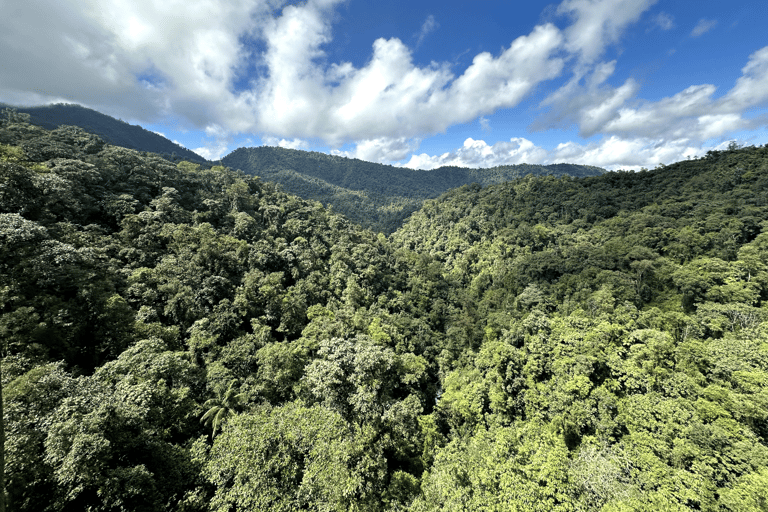 Tour della città di Quito e del Mondo di Mezzo+BirdwatchingTour privato