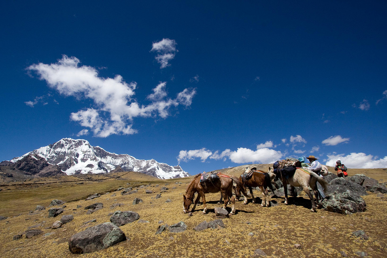 Vanuit Cusco: 7 meren Ausangate met ontbijt en lunchVanuit Cuzco: Ausangate-trekking van een hele dag