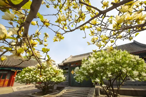 Beijing: Gongwang Palace Museum | Military Museum Ticket Admission to the Gongwang Palace Museum
