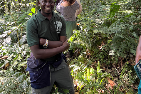 Excursion d&#039;une journée au lac Bunyonyi et dans la forêt de Kalinzu pour un trekking avec les chimpanzés