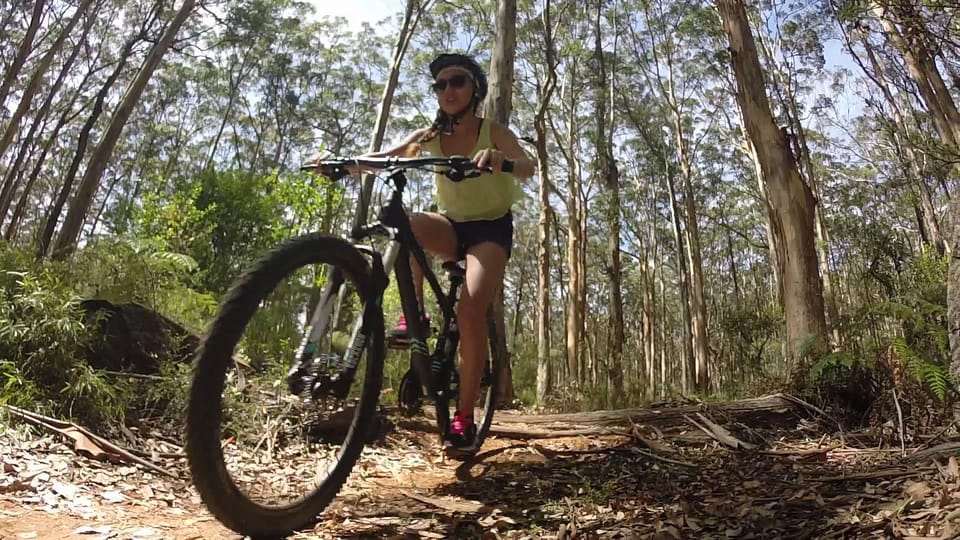 Margaret River Mountain Biking Kayaking Wine Tasting GetYourGuide