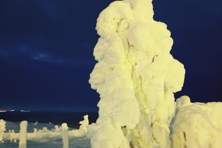 Levi: Fell Whisperer's Forest Skiing Tour with Campfire