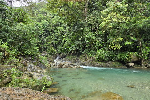 Cali: Tagesausflug zur Donau und zur Oase La Sirena. Ab CaliCali: Tagesausflug zur Donau und zur Oase der Meerjungfrau. Ab Cali