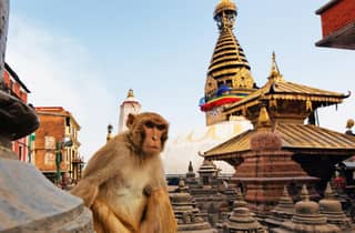 Sightseeing-Tour in Kathmandu und Pokhara – 5 Tage in Nepal