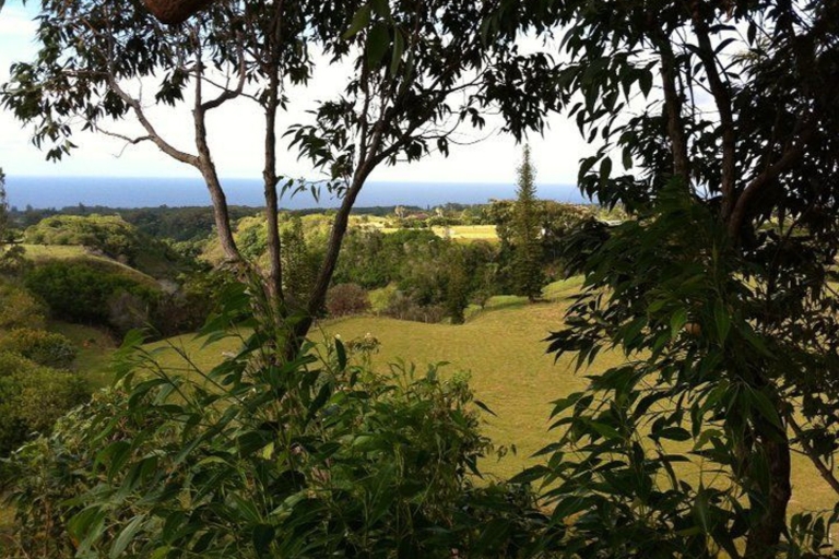 Maui : 7 tyroliennes et musée de la seconde guerre mondialeMaui : aventure tyrolienne dans les arbres