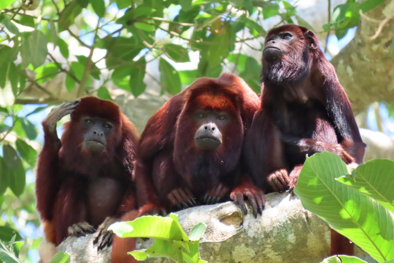 Tayrona National park hike experience