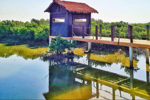 多哈与北卡塔尔：全天探索之旅多哈及北卡塔尔：全天深度探索之旅