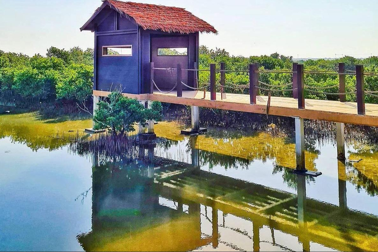 多哈与北卡塔尔：全天探索之旅多哈及北卡塔尔：全天深度探索之旅