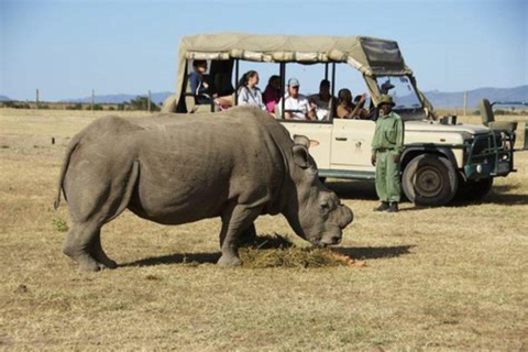 From Nairobi: Ol Pejeta Conservancy Day Trip with Game Drive