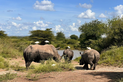 Nairobi: National Park Half-Day Safari with Hotel Pick-Up