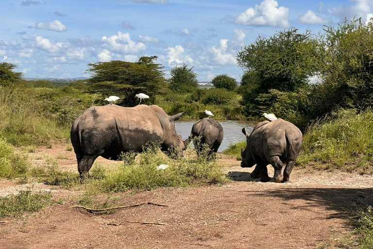 Nairobi: National Park Half-Day Safari with Hotel Pick-Up