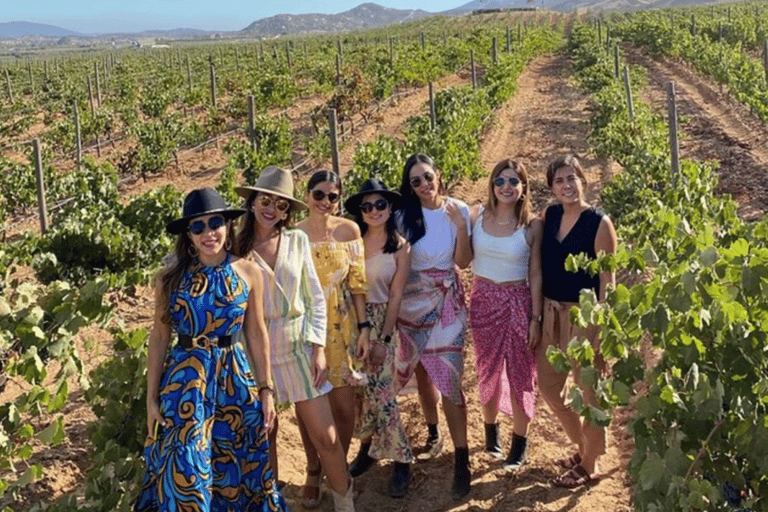 Ensenada: Valle de Guadalupe Wine Tasting Tour