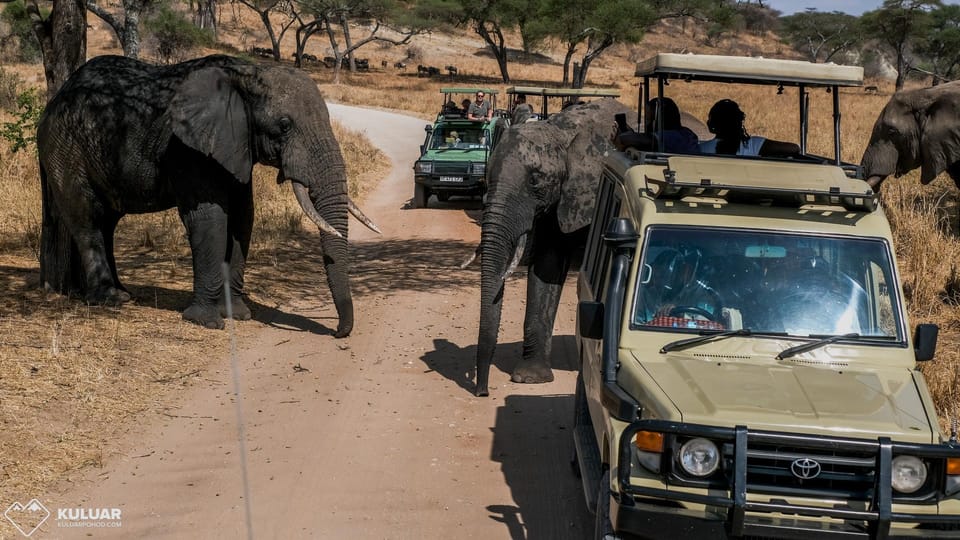 Masai Mara Dniowe Safari Na Kempingu Przez X Land Cruiser Jeep