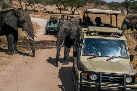 5 dagars safari i Amboseli, Tsavo West &amp; East med SGR /Mombasa