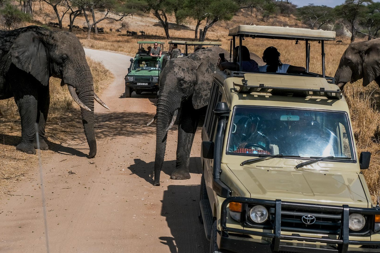 Arusha: Safari di 4 giorni a Tarangire, Ngorongoro e Lago Manyara