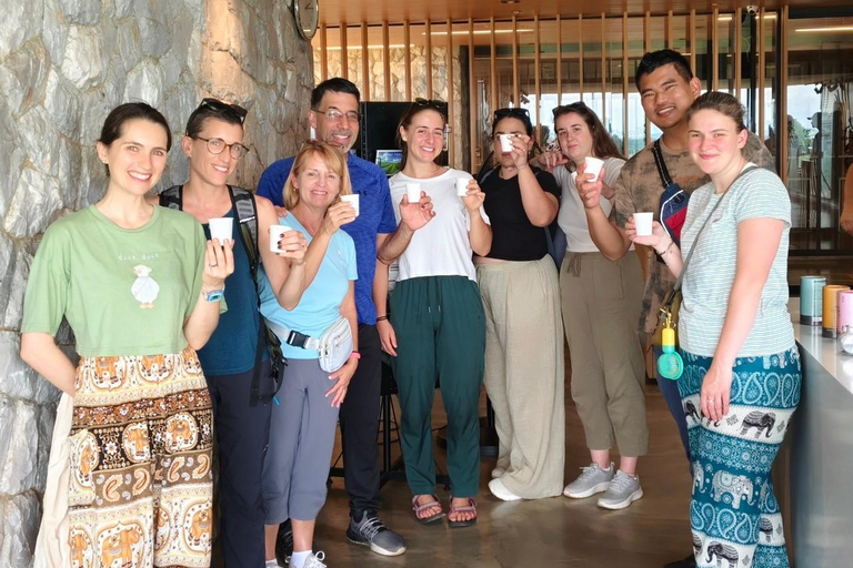 Chiang Rai:Guided Highlights Full-Day Tour-FREE LUNCH BUFFET Experience the Wonders of Chiang Rai with Free Thai Buffet