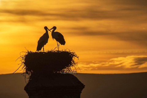 Trujillo: Wycieczka z przewodnikiem "Kolekcjoner zachodów słońca".