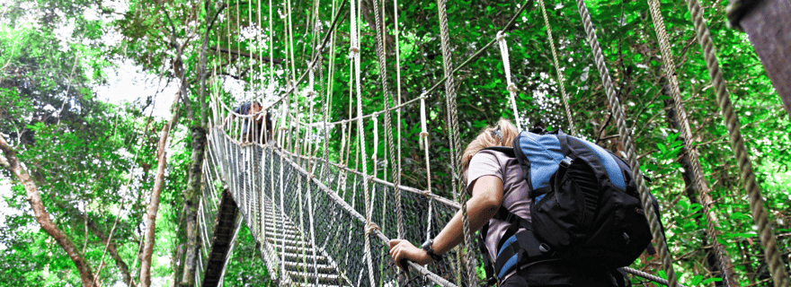 Kuala Lumpur : randonnée et sortie en bateau au parc national de Taman Negara