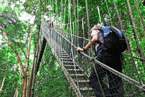 Kuala Lumpur: Park Narodowy Taman Negara: wodospad Teras