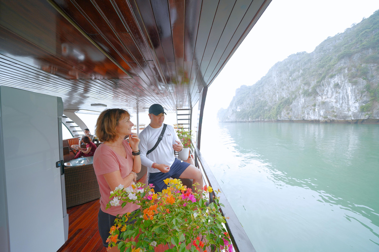 从河内出发：兰哈湾一日游，包含精彩活动从猫巴出发：兰哈湾一日游，包含丰富有趣的活动