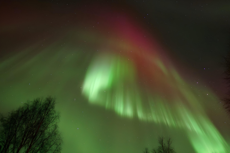 Rovaniemi Northern Lights – The Real Guaranteed Hunt