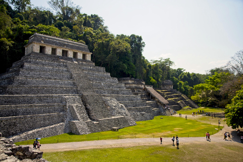 Chiapas: Palenque Admission Ticket, Mayan Temples, and Selva Viva